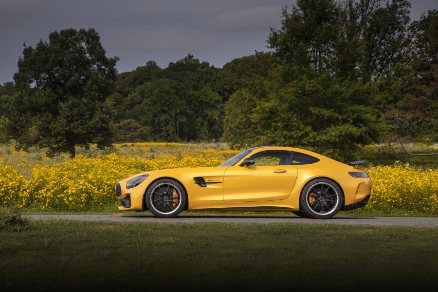  Mercedes-AMG GT R (C190) 2019 года  (NA) (фото 9 из 85)